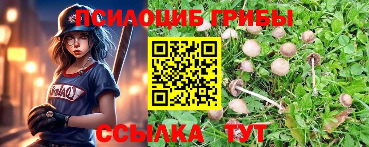 Галлюциногенные грибы ЛСД  Вход с VPN  Малоярославец  Псилоцибиновые грибы Psilocybine cubensis 