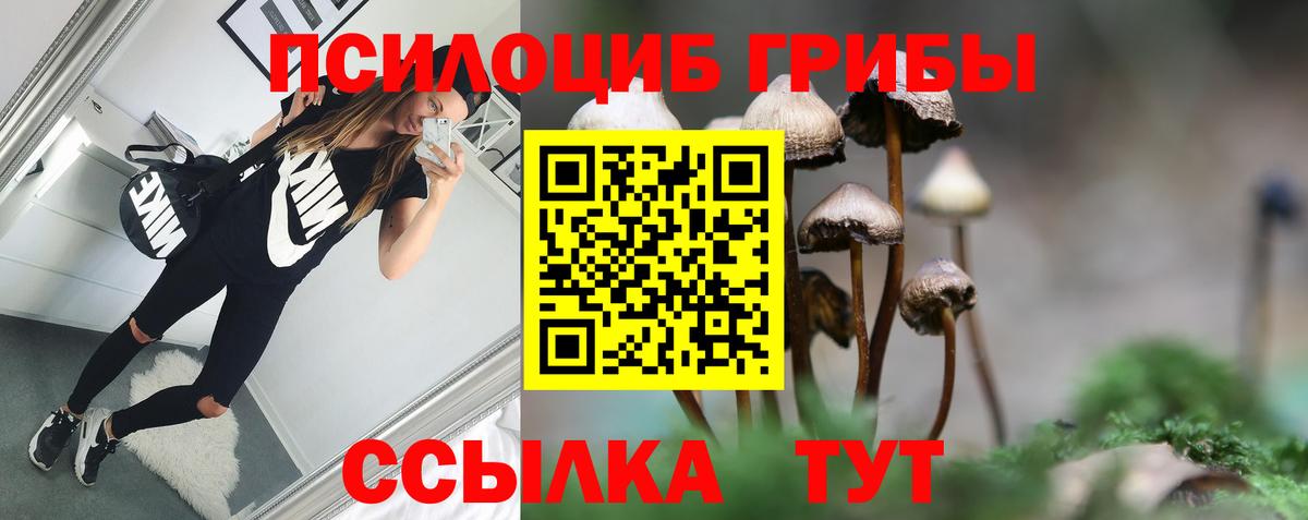 Галлюциногенные грибы мухоморы Малоярославец