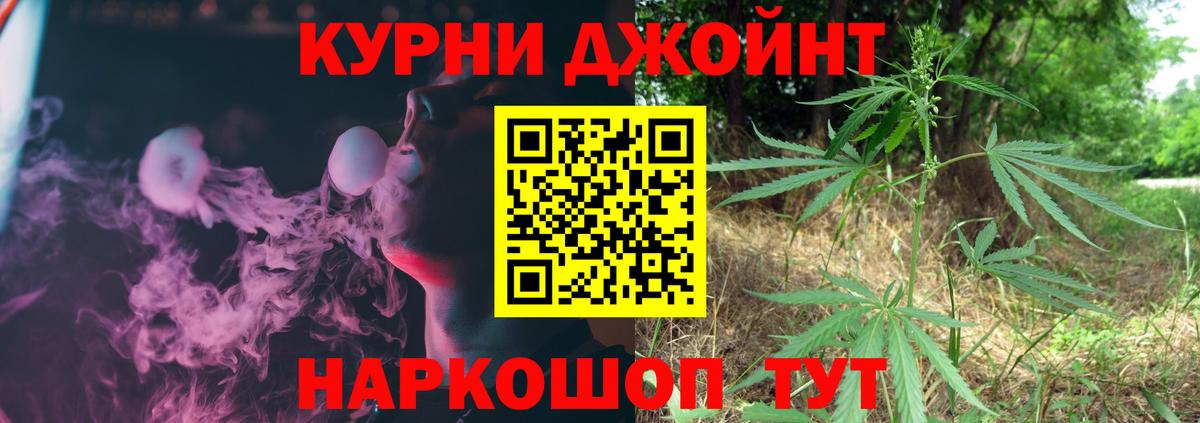 Конопля сатива Малоярославец